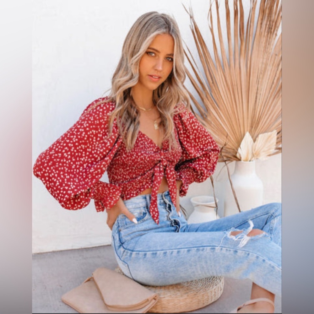 Vici Collection Ridley Smocked Tie Front Crop Top
